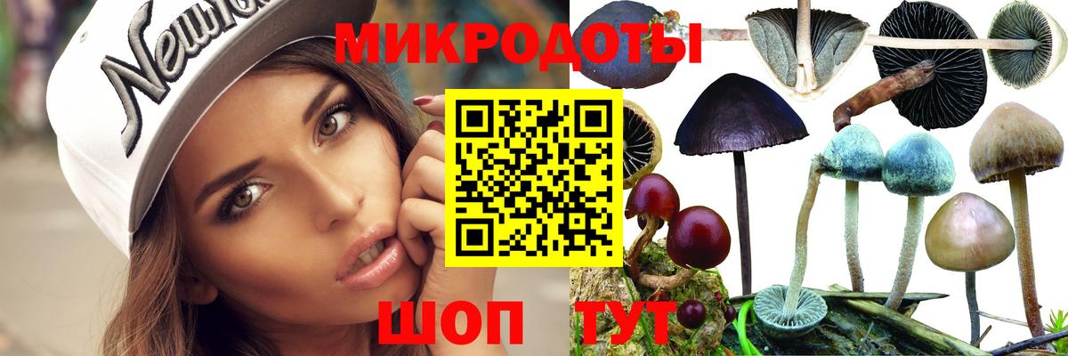 Псилоцибиновые грибы Cubensis Калуга