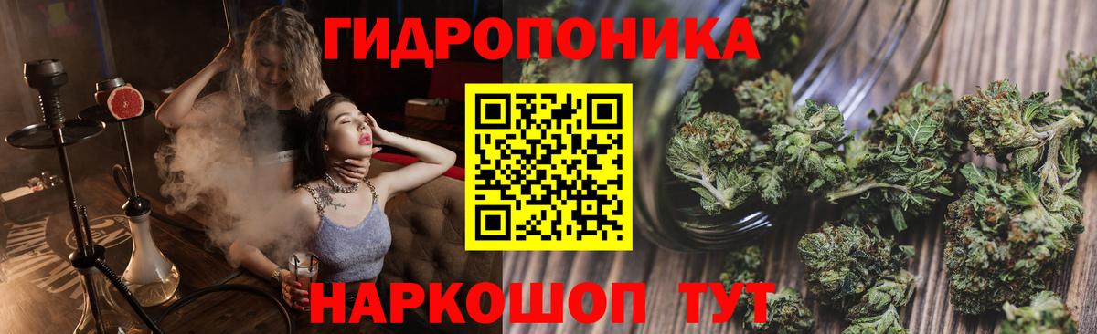 Конопля семена Калуга